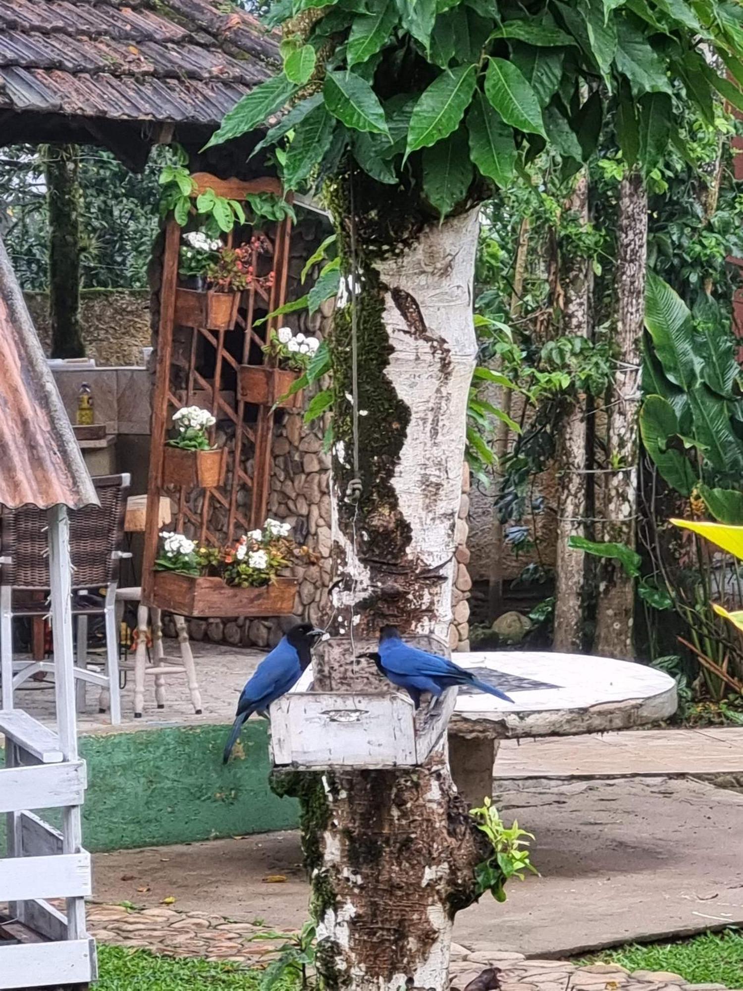 Pousada Siroba Beira Rio Apartamento *
